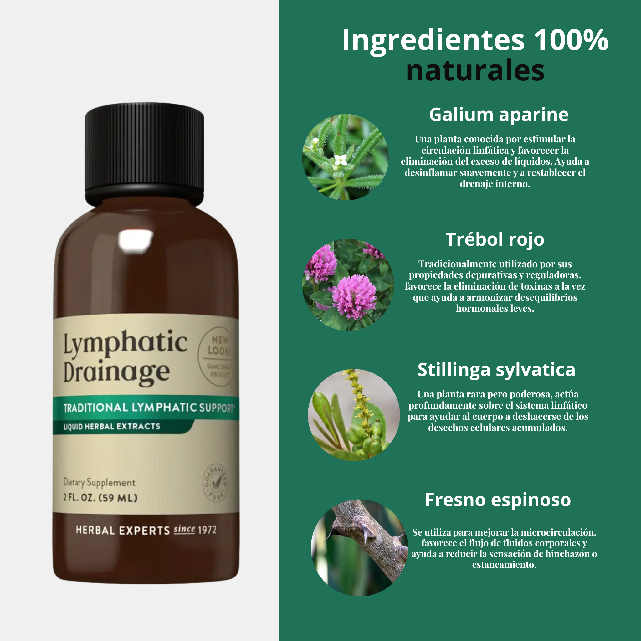 Drenaje Linfático Líquido -  Reduce la hinchazón y recupera tu contorno